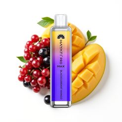 Hayati Pro Max 4000 Puffs Disposable Vape Cassis Mangue