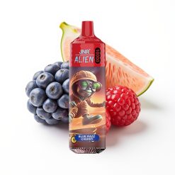 JNR Alien 10000 Puffs Disposable Vape Bleu Framboise Cerise avec Charge Type-C et LED RGB