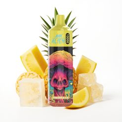 JNR Alien 10000 Puffs Disposable Vape Glace Ananas avec LED RGB et Charge Rapide Type-C