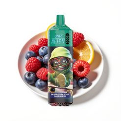 JNR Alien 10000 Puffs Disposable Vape Myrtille Acidulée Framboise avec LED RGB et Type-C