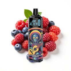 JNR Alien 10000 Puffs Disposable Vape Myrtille Cerise Cranberry avec LED (RGB) et Charge Rapide Type-C