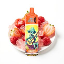 JNR Alien 10000 Puffs Fraise Framboise Glace avec LED RGB et Type-C