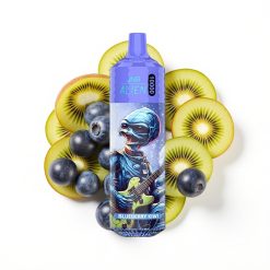 JNR Alien 10000 Puffs Vape Disposable Myrtille Kiwi avec LED RGB et Charge Rapide Type-C