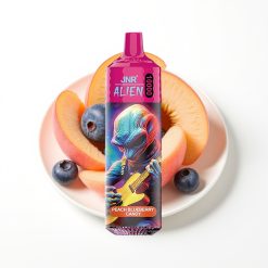 JNR Alien 10000 Puffs Vape Disposable Pêche Myrtille Bonbon avec LED RGB et Type-C