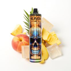 JNR Calavera 11000 Puffs Disposable Vape Pêche Mangue Ananas Glacé avec Port Type-C et Batterie 850mAh