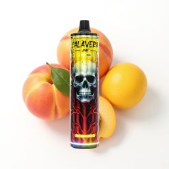 JNR Calavera 11000 Puffs Disposable Vape Pêche Mangue avec Port Type-C et 21ml