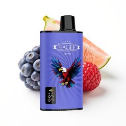 JNR EAGLE Smart 23000 Puffs Disposable Vape Bleu Framboise Cerise avec Écran Numérique et Bobine Mesh 1.0ohm