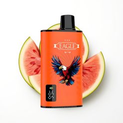 JNR EAGLE Smart 23000 Puffs Disposable Vape Pastèque Bubblegum avec écran numérique et batterie 750mAh