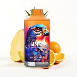 JNR Falcon 16000 Puffs Disposable Vape Ananas Mangue Orange avec 22ml et Dual Mesh Coil