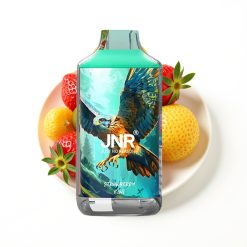 JNR Falcon 16000 Puffs Fraise Kiwi Disposable Vape avec 22ml et Dual Mesh Coil