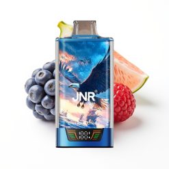 JNR Falcon Pro 28000 Disposable Vape Myrtille Cerise avec 28000 Puffs et USB Type-C