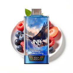 JNR Falcon Pro 28000 Disposable Vape Myrtille Framboise Cerise avec Smart Display et USB Type-C