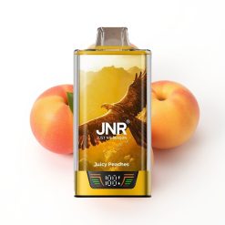 JNR Falcon Pro 28000 Disposable Vape Pêches Juteuses avec 30ml et USB Type-C