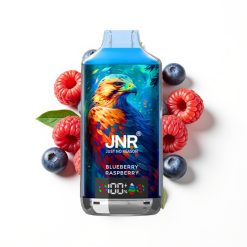 JNR Falcon X 18000 Puffs Disposable Vape Myrtille Framboise avec 24ml et Charge Rapide Type-C