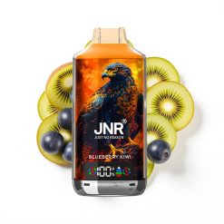 JNR Falcon X 18000 Puffs Disposable Vape Myrtille Kiwi avec 24ml et Charge Rapide Type-C