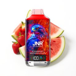 JNR Falcon X 18000 Puffs Fraise Pastèque Glacée avec Affichage Numérique et Charge Rapide Type-C