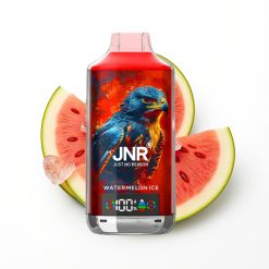 JNR Falcon X 18000 Puffs Glace Pastèque Affichage Numérique Charge Type-C