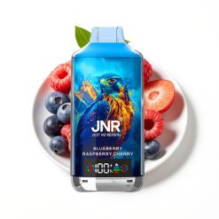JNR Falcon X 18000 Puffs Myrtille Framboise Cerise avec Affichage Numérique et Charge Rapide Type-C