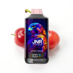 JNR Falcon X 18000 Puffs Vape Disposable Cerise Baies avec Affichage Numérique et Charge Rapide Type-C