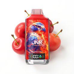 JNR Falcon X 18000 Puffs Vape Disposable Cerise Raison avec écran numérique et recharge rapide Type-C