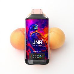 JNR Falcon X 18000 Puffs Vape Disposable Glace Pêche avec Affichage Numérique et Charge Rapide Type-C