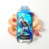 JNR Falcon X 18000 Puffs Vape Disposable Pêche Blanche Framboise 750mAh Type-C