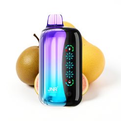 JNR Flex Ice 21000 Puffs Déposable Vape Kiwi Fruit de la Passion Goyave avec Écran Tactile et Ice Réglable
