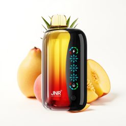 JNR Flex Ice 21000 Puffs Disposable Vape Pêche Mangue Ananas avec Ice Adjustable et 26ml E-liquide