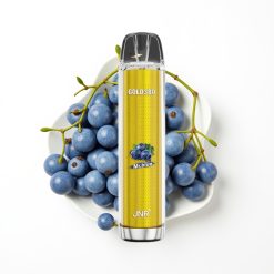 JNR Gold380 6000 Puffs Disposable Vape Monsieur Bleu avec 1500mAh et 13ml