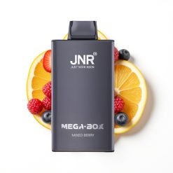 JNR Mega Box 25000 Puffs Disposable Vape Baies Mixtes avec Charge Rapide Type-C et Double Mesh