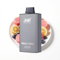 JNR Mega Box 25000 Puffs Disposable Vape Bleuet Chewing-Gum Dual Mesh Coil