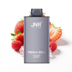 JNR Mega Box 25000 Puffs Disposable Vape Fraise Framboise Cerise Glace avec Dual Mesh Coil