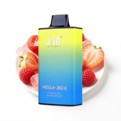 JNR Mega Box 25000 Puffs Disposable Vape Fraise Framboise Glace avec Charge Rapide Type-C et Double Bobine Mesh