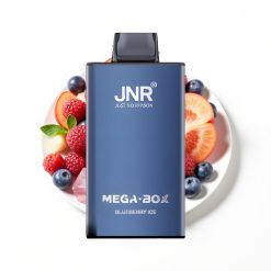 JNR Mega Box 25000 Puffs Disposable Vape Glace Myrtille avec Charge Rapide Type-C et Double Bobine