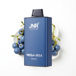 JNR Mega Box 25000 Puffs Disposable Vape Monsieur Bleu avec Dual Mesh Coil et Type-C