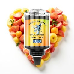 JNR Mega Shisha Hookah 100K Compatibilité Bureau Amour Magique et 60ml