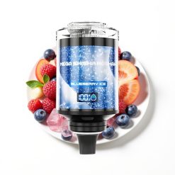 JNR Mega Shisha Hookah 100K Compatibilité Bureau Myrtille Glacée 60mL 2200mAh