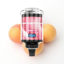 JNR Mega Shisha Hookah 100K Compatibilité Bureau Pêche Glacée avec écran intelligent et batterie rechargeable