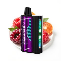 JNR Radiance 31000 Puffs Disposable Vape MYRTILLE ACIDE FRAMBOISE avec écran animé intelligent et batterie rechargeable