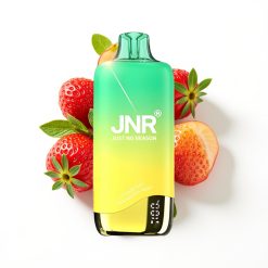 JNR Rainbow 10500 Puffs Disposable Vape Fraise Pêche Menthe avec 18ml Réservoir et USB Type-C
