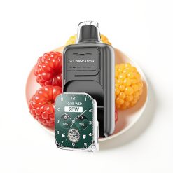 JNR VapeWatch 30000 Puffs Triple Baies Rechargeable Type-C Dual Mesh