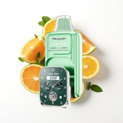 JNR VapeWatch 30000 Puffs Vape Jetable Miami Menthe avec 19mL et Charge Rapide Type-C