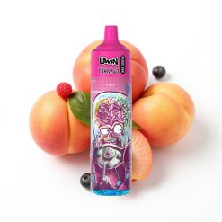 Uwin Tornado 35K Music Disposable Vape Pêche Baies avec batterie rechargeable 600mAh